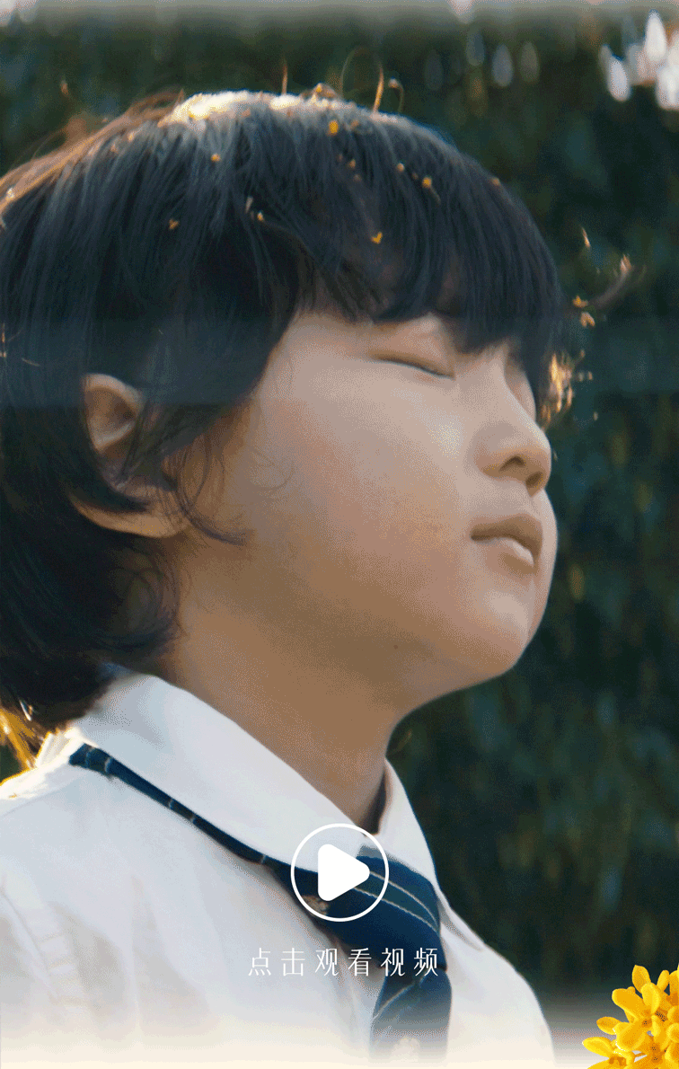 桂花系列赌球平台推荐官宣推文_02.gif
